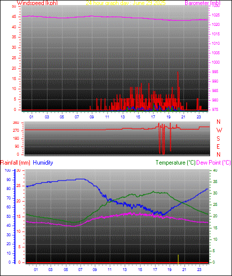 24 Hour Graph for Day 29