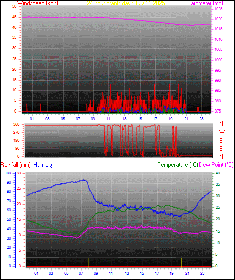 24 Hour Graph for Day 11